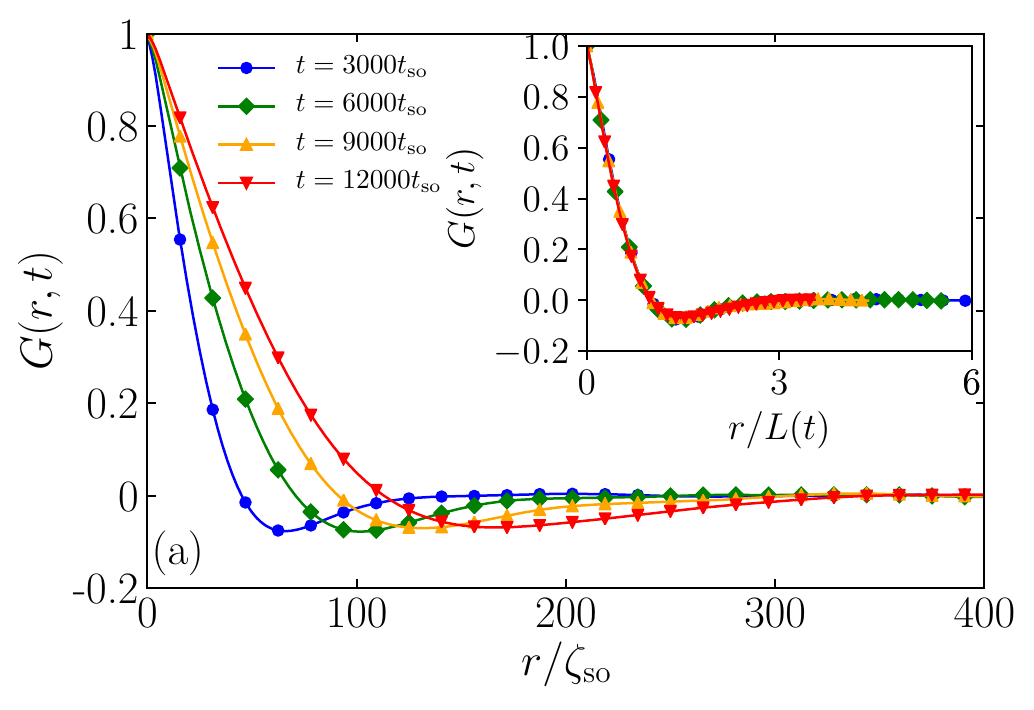 Correlation functions at different times and their collapse when distance is rescaled by the characteristic domain length